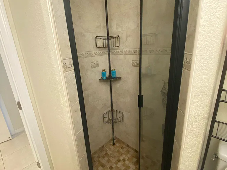 Master Bathroom Shower