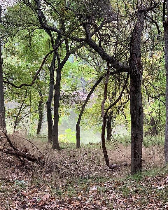 2nd image of 8702 Oakland Ct Lot 433