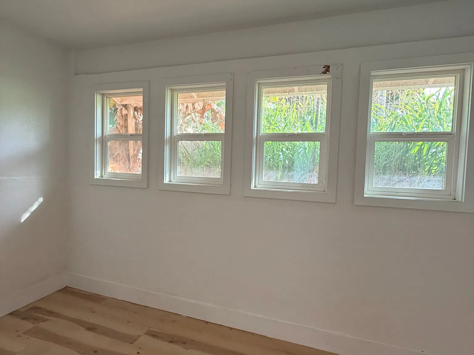 1Bedroom 1 Bathroom — Photo 4