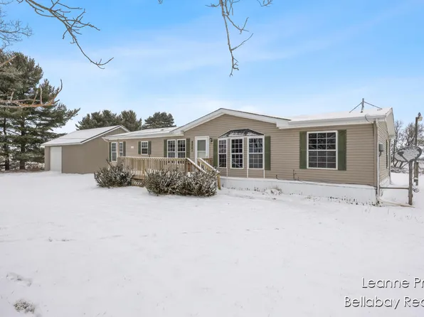 9820 W Five Point Hwy, Bellevue, MI 49021