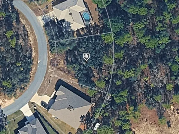 33 Cherrypalm Ct, Homosassa, FL 34446