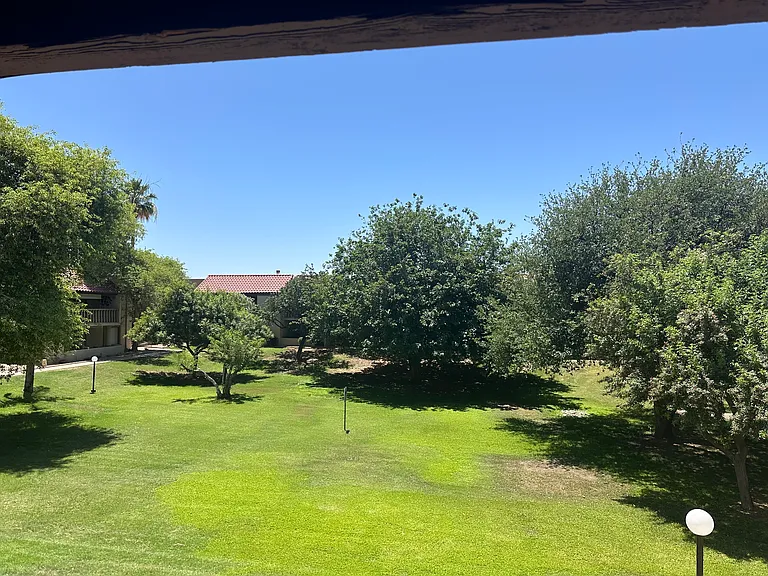 8649 E Royal Palm Rd #204 — Photo 26