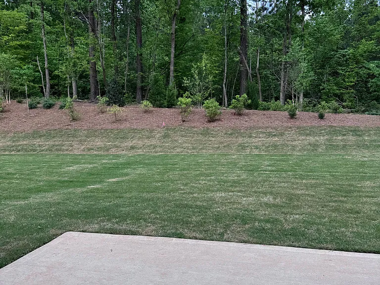 Private Backyard with Wooded View _ Serene and perfect for relaxing.