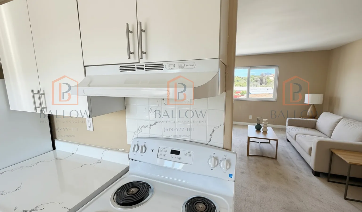 1 bed, 550 sqft, $1,800 — Photo 4