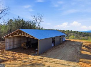 1927 Leeches Rd, Ellijay, GA 30540