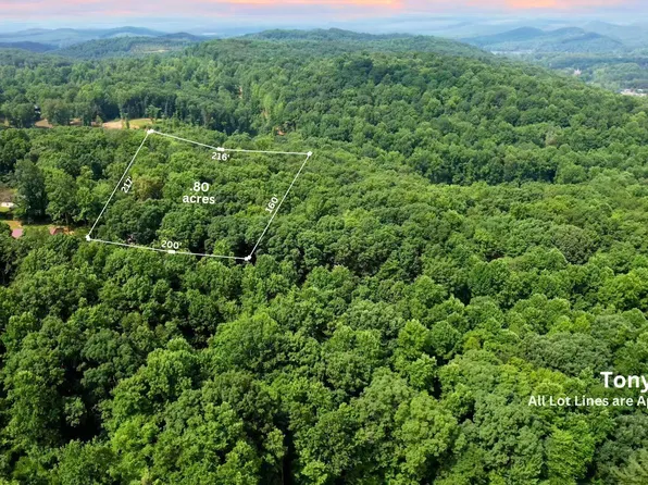 199 Tonya Ln, Harriman, TN 37748