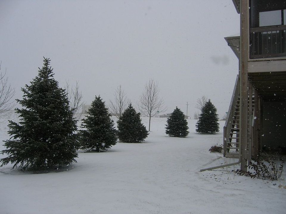 1st image of 5908 S Shadow Wood Pl