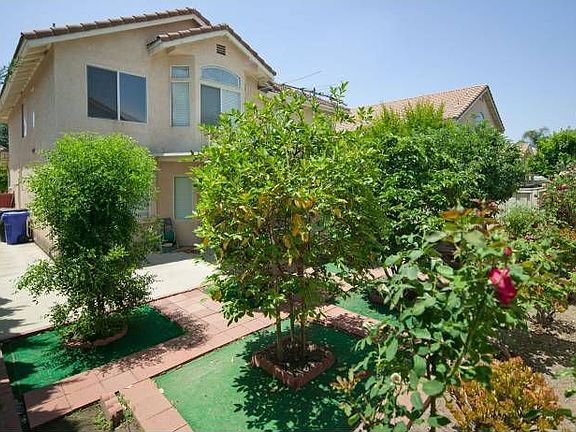 Backyard-2