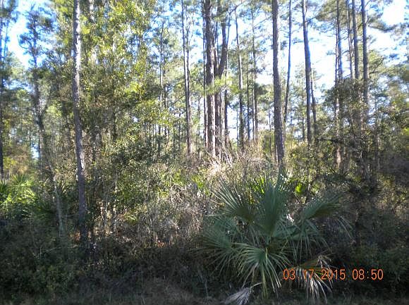 2nd image of 11501 W Dragonhead Dr