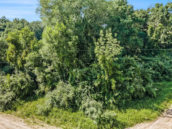 0 E Johnson Rd, Hesperia, MI 49421