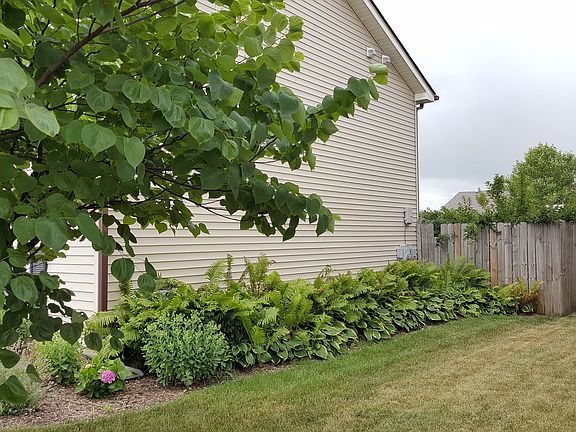 North Side Perennials