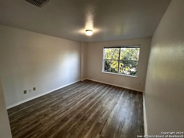 12142 Painted Daisy — Photo 20