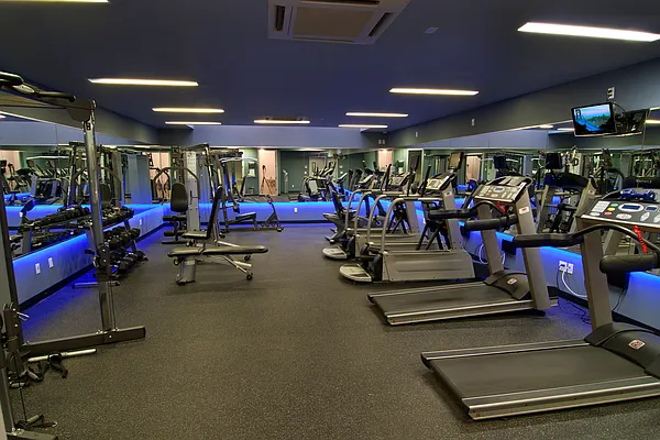 Rented by City View Living | media 59