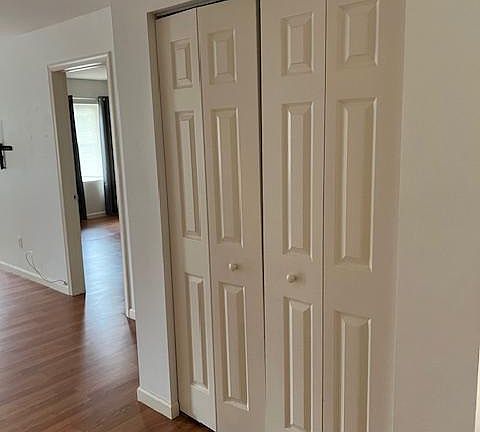 Kitchen pantry/closet