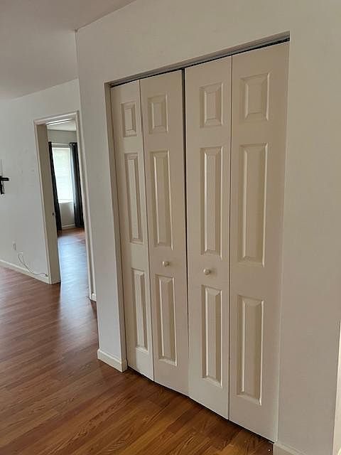 Kitchen pantry/closet