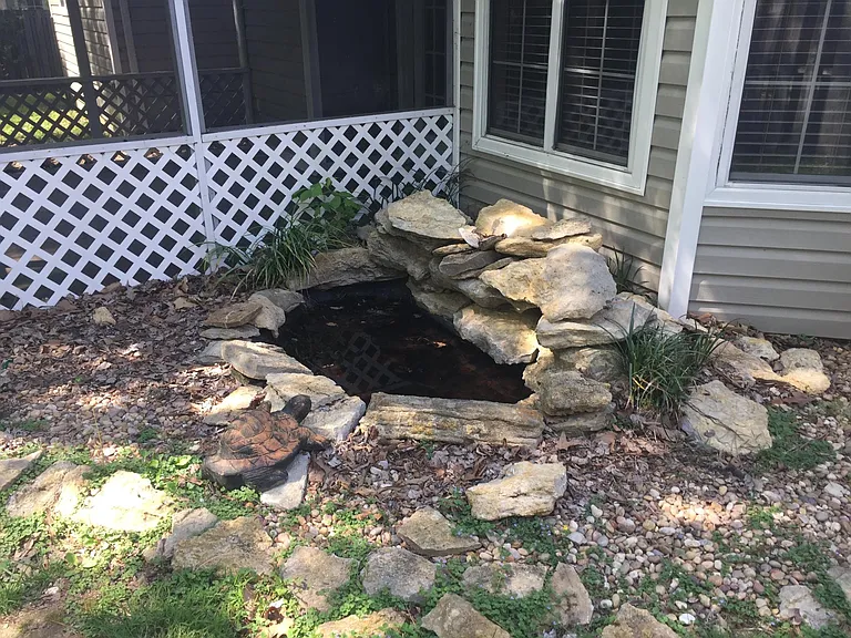 Small koi pond in back yard!