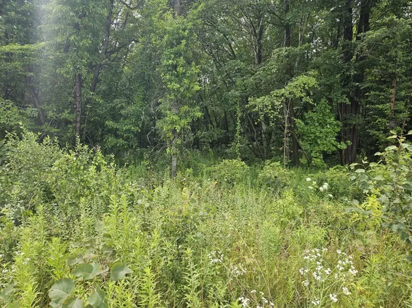 S 875 E, Mill Creek, IN 46365