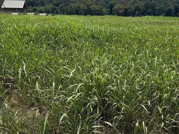 39-40 White River Run, Guion, AR 72540