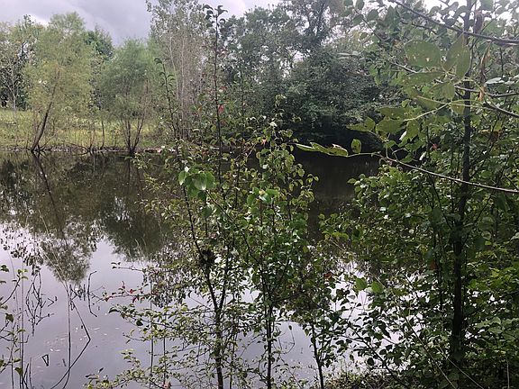 5th image of 13308 Harveyville Rd