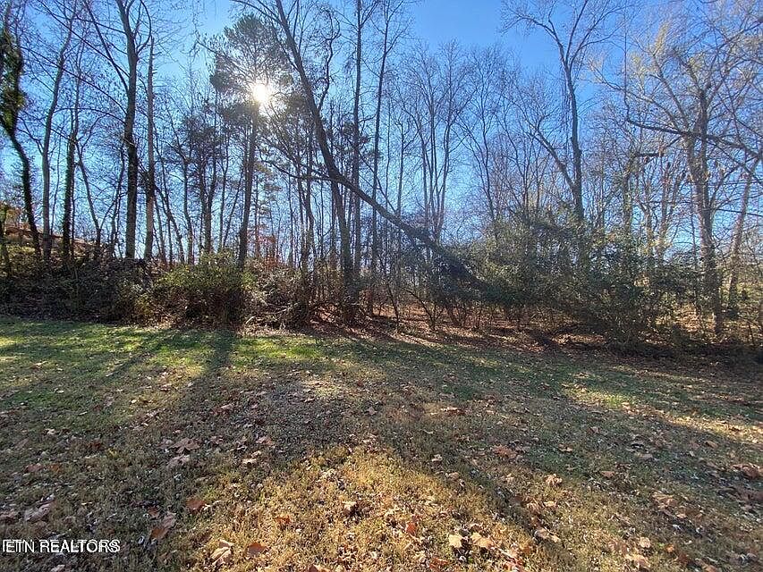 2nd image of Bowman Bend Rd Lot 79