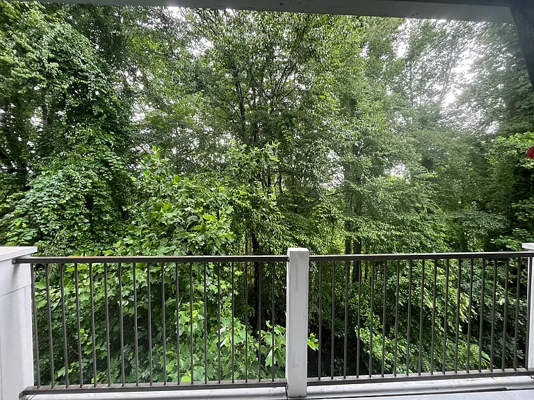 Beautiful, peaceful, covered patio