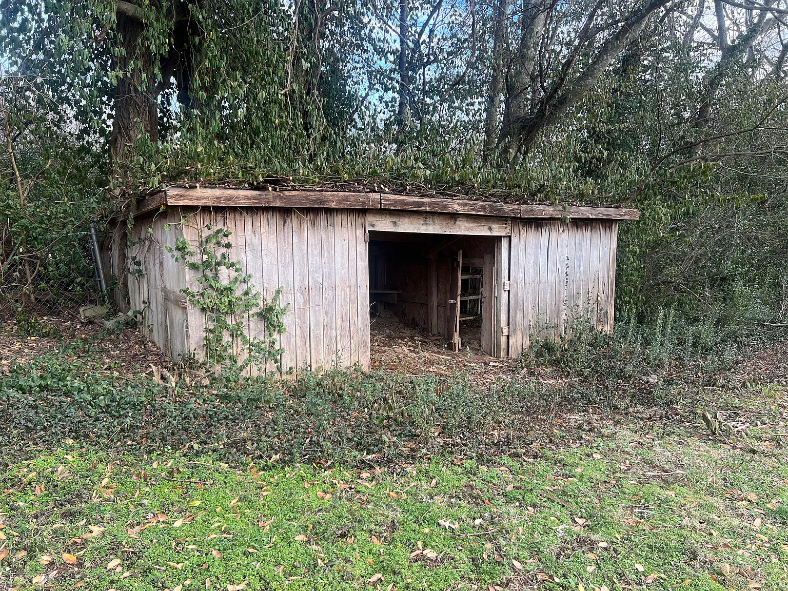3 BR Brick Home For Rent — Photo 3