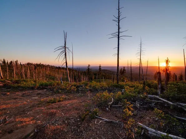 75 Acres, Emigrant Gap, CA 95715