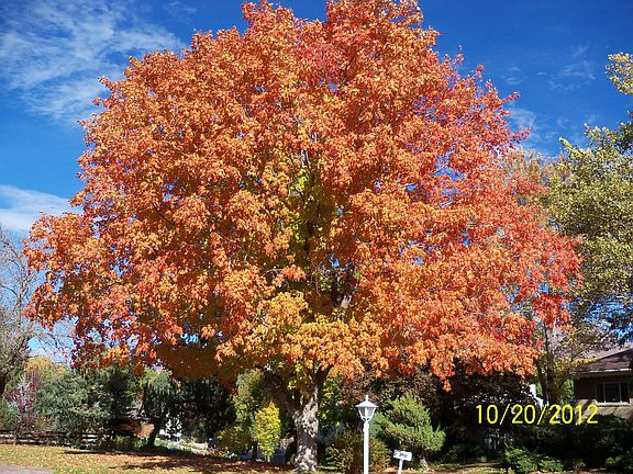 3rd image of 7580 S Michelle Way