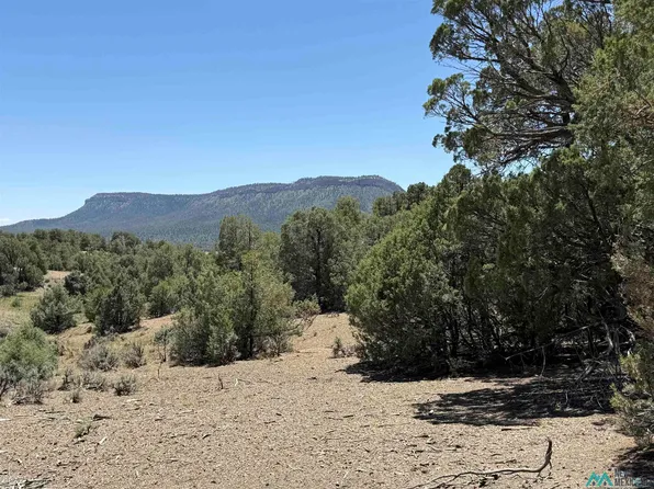 0 Christy Ln, Chama, NM 87520
