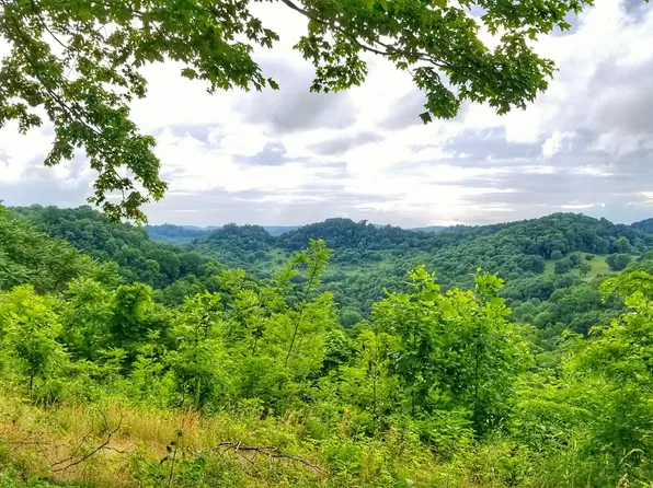 4251 Dale Ridge Rd Lot 2, Liberty, TN 37095