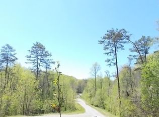 LT 21 Spring Run Dr, Blue Ridge, GA 30513