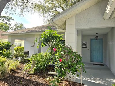 3509 Oak Lake Dr, Palm Harbor, FL, 34684