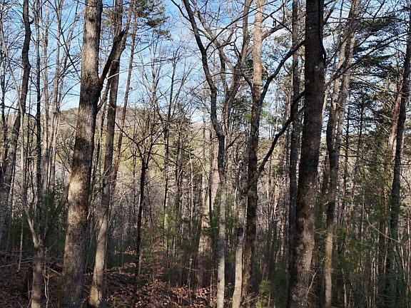 2nd image of 1 Gold Valley Rd