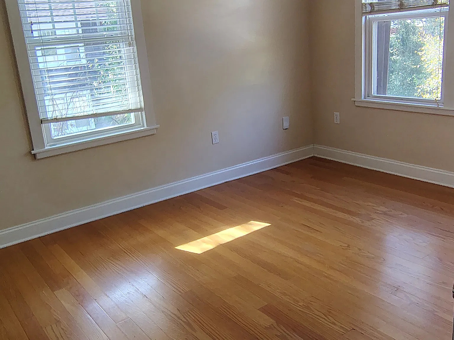 2 bed, 850 sqft, $1,575 — Photo 3