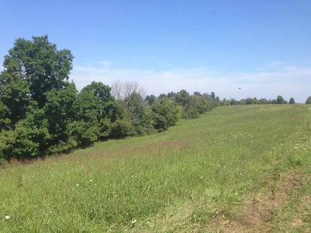 2nd image of 13888 Peach Grove Rd