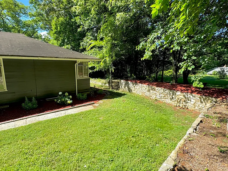 Back yard.