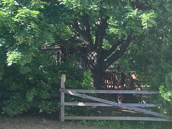 View into backyard