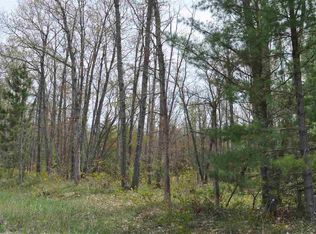 0 Merritt St, Fife Lake, MI 49633