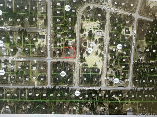 3335 W Kirkwood Pl, Citrus Springs, FL 34433