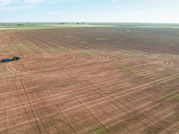 650 County Road 630, Dimmitt, TX 79027