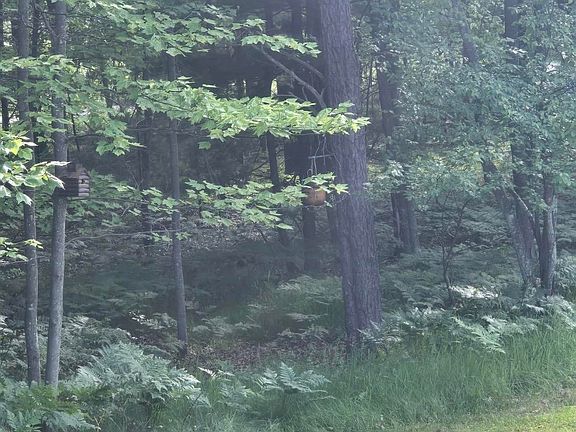 5th image of 0 S Forest Lake Dr