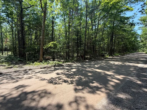 6287 Waubun Rd, Indian River, MI 49749