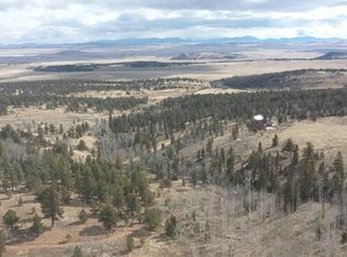 161 Kaufman Rd #1, Hartsel, CO 80449