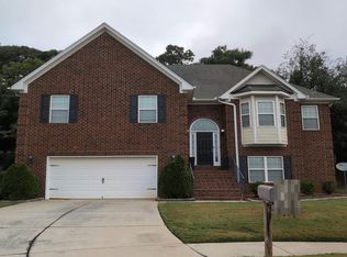 482 Panhandle Pl, Hampton, GA 30228
