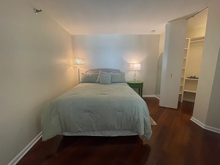 480 N McClurg Ct #912 — Photo 10