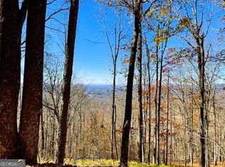 30 Mountainside Ct, Cleveland, GA 30528