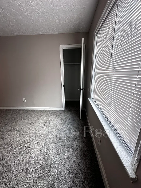 Linden — Photo 4