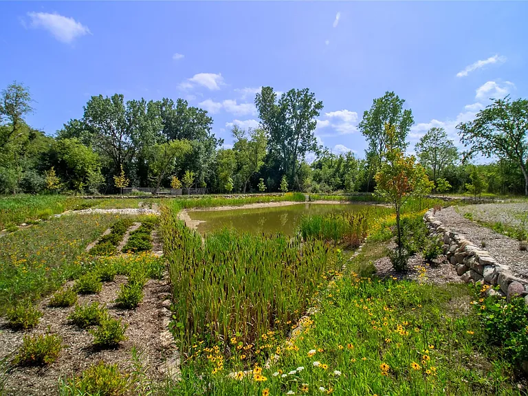 49530 Coldwater Ridge Dr — Photo 36