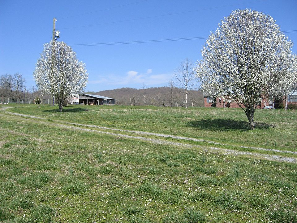 2nd image of 341 Old Petersburg Pike