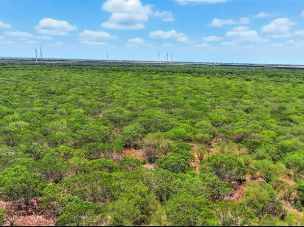 21316 County Road 798, Mathis, TX 78368